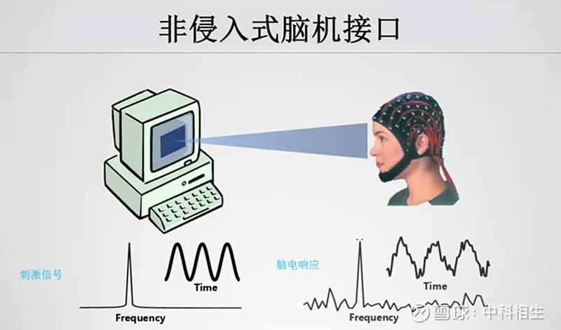 脑机接口的应用场景：医疗、娱乐、教育等领域的变革