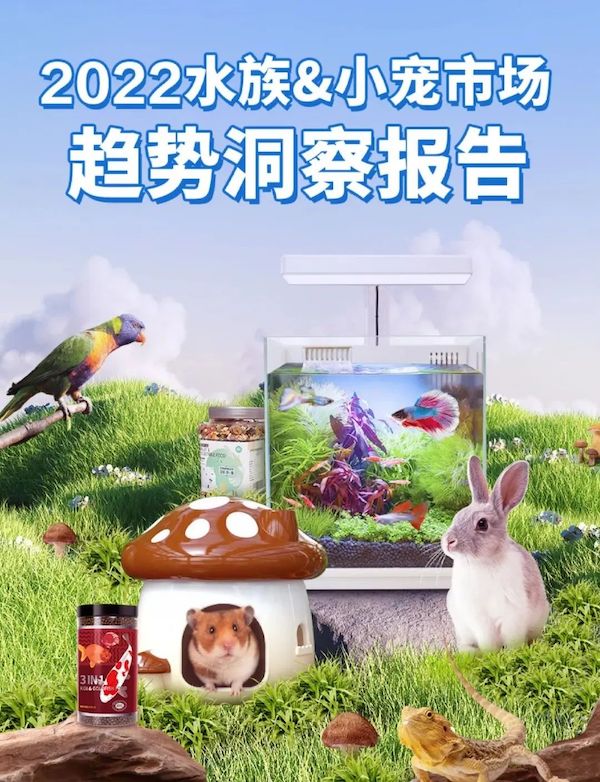 探索未来宠物喂养方式——智能宠物喂食器