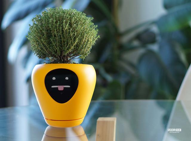 让植物养护变得轻松智能的革命性产品
