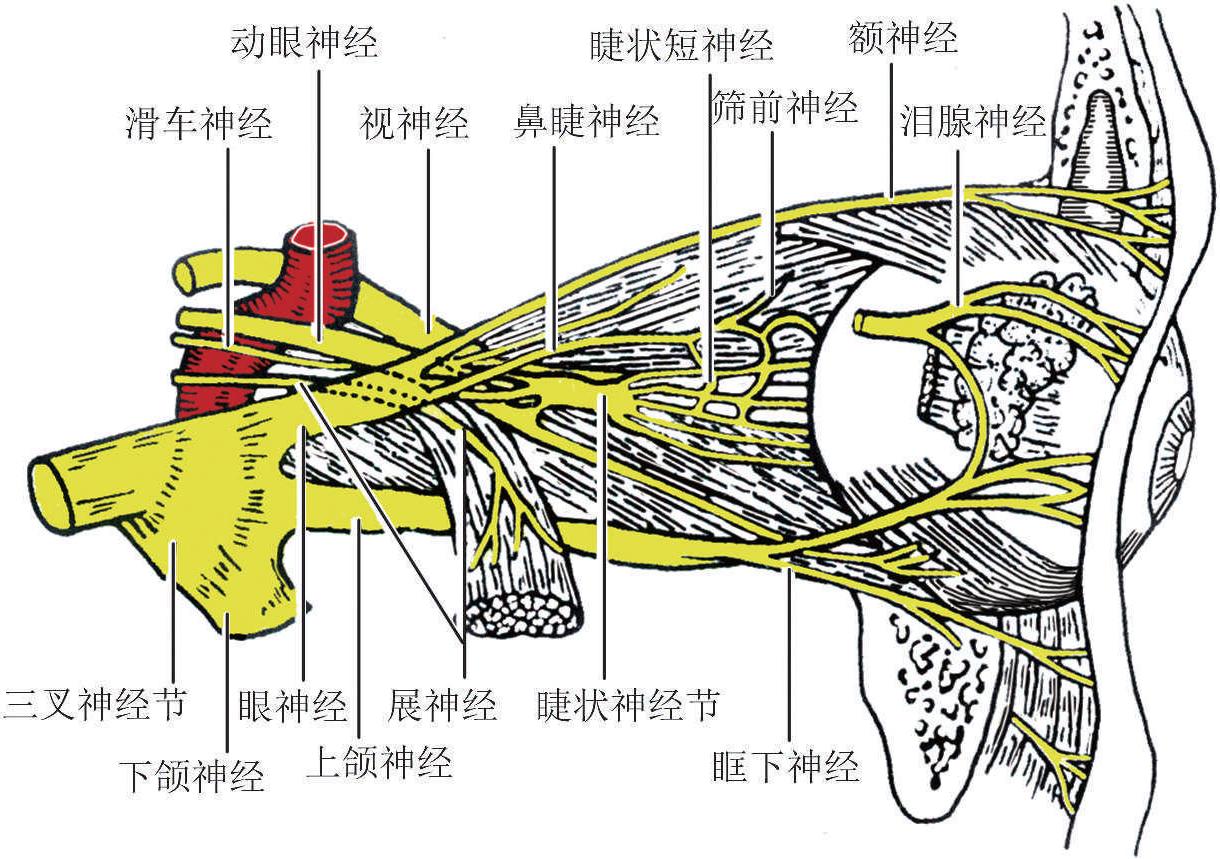 从传统到神经形态：计算技术变革背后的秘密武器