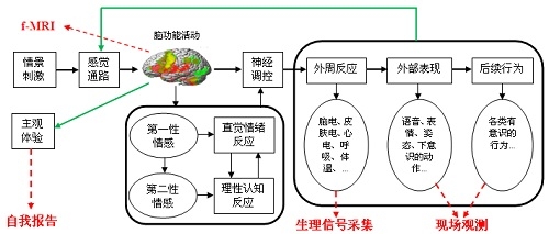 探索情感计算技术，构建更加智能的情感交互系统